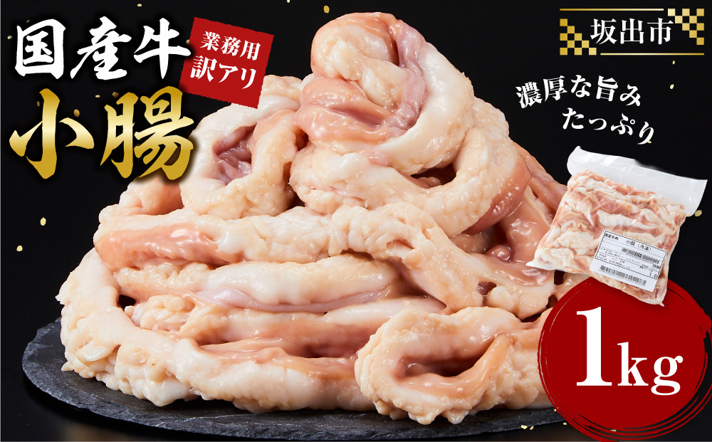 《業務用・訳アリ》国産牛　小腸　1kg