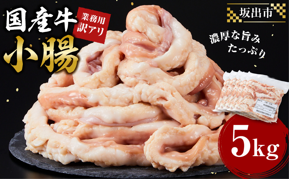 《業務用・訳アリ》国産牛　小腸　5kg