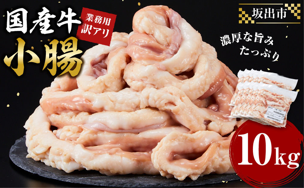《業務用・訳アリ》国産牛　小腸　10kg