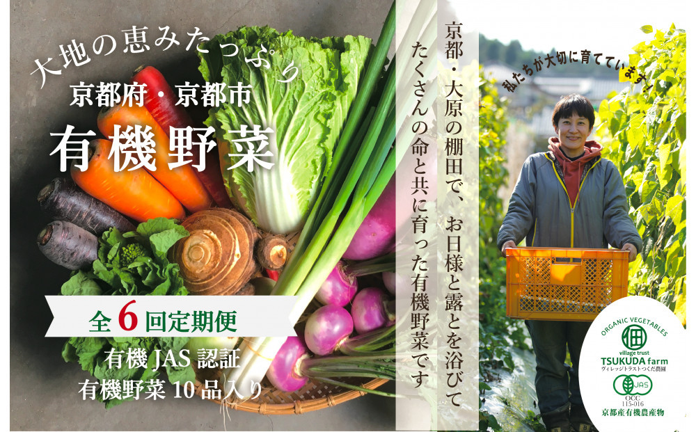 ◆全6回定期便◆【つくだ農園】《有機JAS認証 有機野菜10品入り》京都の棚田大原で心を込めて大切に露地栽培された大地の恵みたっぷりの有機野菜!［ 京都 有機野菜 定期便 セット 人気 おすすめ 有機栽培 おまかせ 詰め合わせ 産地直送 新鮮 ミシュラン お取り寄せ 通販 送料無料 ふるさと納税 ］