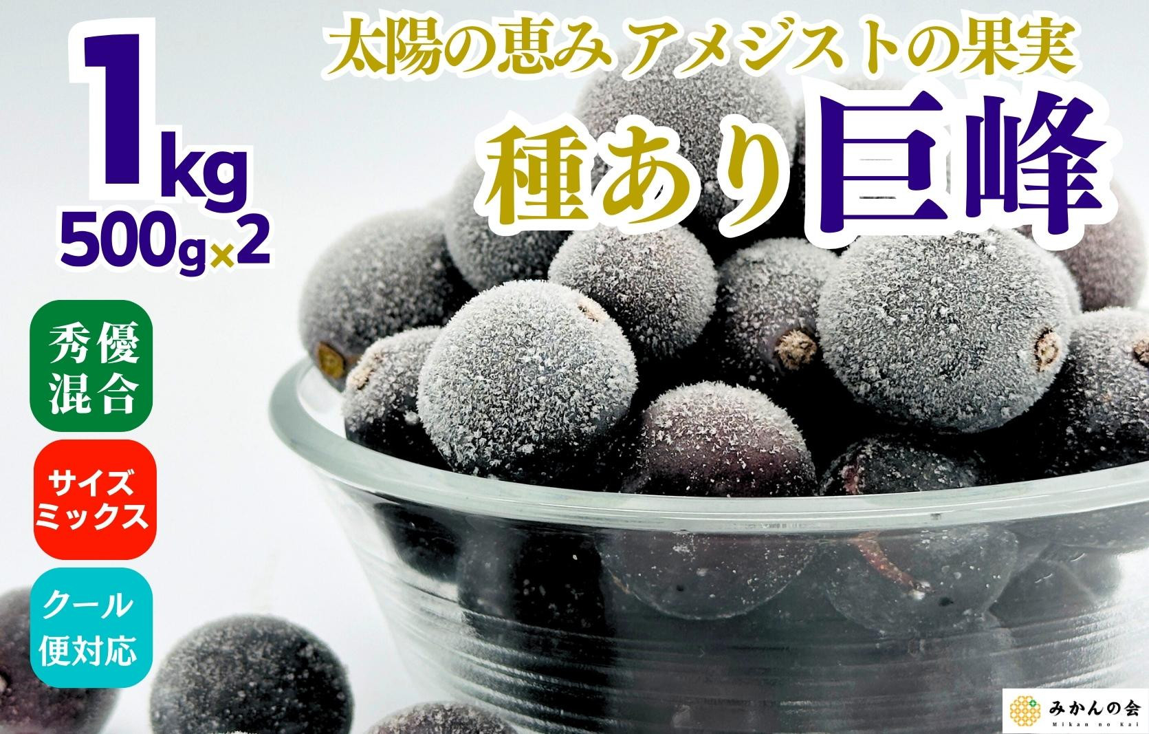 冷凍&nbsp;種あり&nbsp;巨峰&nbsp;約1kg&nbsp;秀優混合&nbsp;サイズミックス&nbsp;和歌山県産&nbsp;産地直送&nbsp;ぶどう&nbsp;クール便&nbsp;&nbsp;【みかんの会】