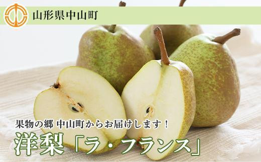 【2025年10月下旬以降お届け】果物の郷 中山町からお届けします！洋梨「ラ・フランス」秀3L～4L 5kg（14～16玉）