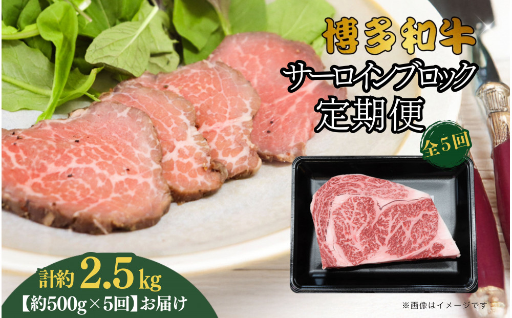 博多和牛&nbsp;サーロインブロック&nbsp;定期便全5回&nbsp;計約2.5kg(約500g×5回)