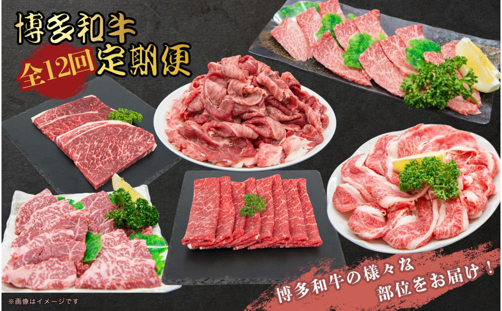 博多和牛 厳選定期便全12回