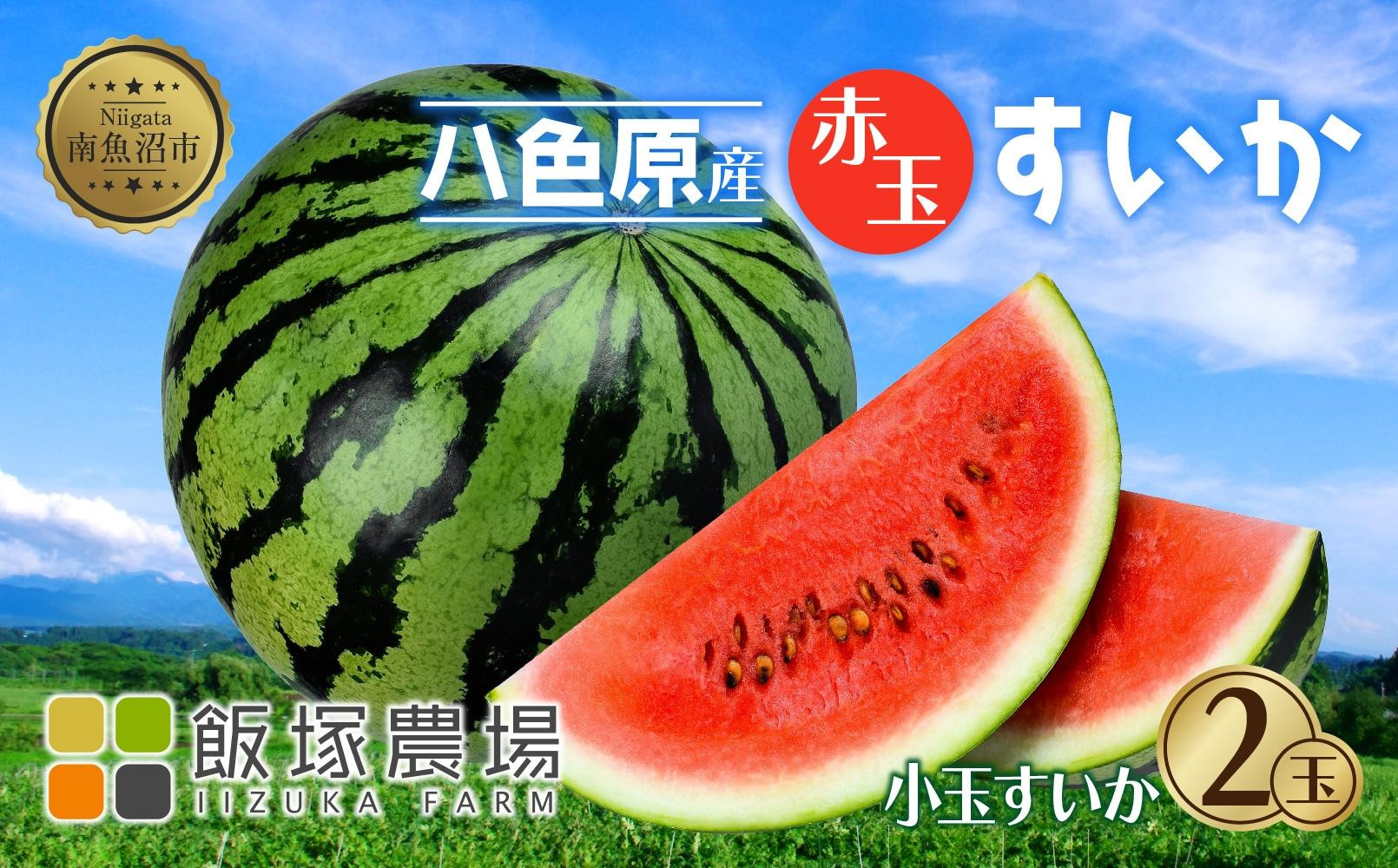 【先行受付】 八色原産 赤玉すいか 小玉 2玉 スイカ 赤肉 西瓜 果物 フルーツ 旬 希少 貴重 甘い 国産 産地直送 ギフト 贈答 自家用 常温 お取り寄せ 送料無料 飯塚農場 新潟県 南魚沼市