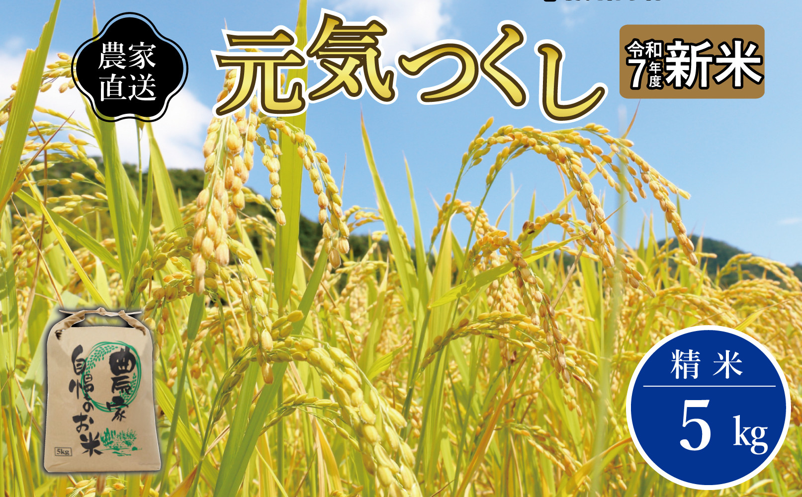 《令和7年産&nbsp;》福岡県大川市産&nbsp;ブランド&nbsp;米「&nbsp;元気つくし&nbsp;」&nbsp;5kg&nbsp;|&nbsp;お米&nbsp;米&nbsp;こめ&nbsp;精米&nbsp;白米&nbsp;ライス&nbsp;ブランド米&nbsp;ごはん&nbsp;ご飯