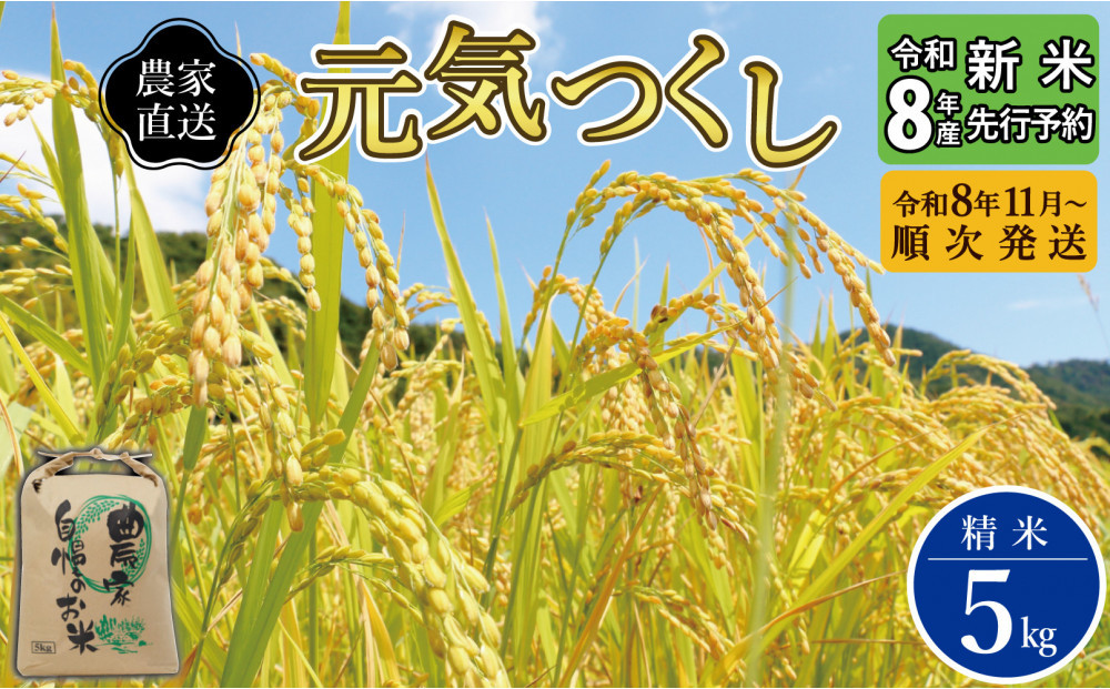 【先行予約】【2026年11月より順次発送】《令和8年産》福岡県大川市産&nbsp;ブランド&nbsp;米「&nbsp;元気つくし&nbsp;」&nbsp;5kg&nbsp;|&nbsp;お米&nbsp;米&nbsp;こめ&nbsp;精米&nbsp;白米&nbsp;ライス&nbsp;ブランド米&nbsp;ごはん&nbsp;ご飯