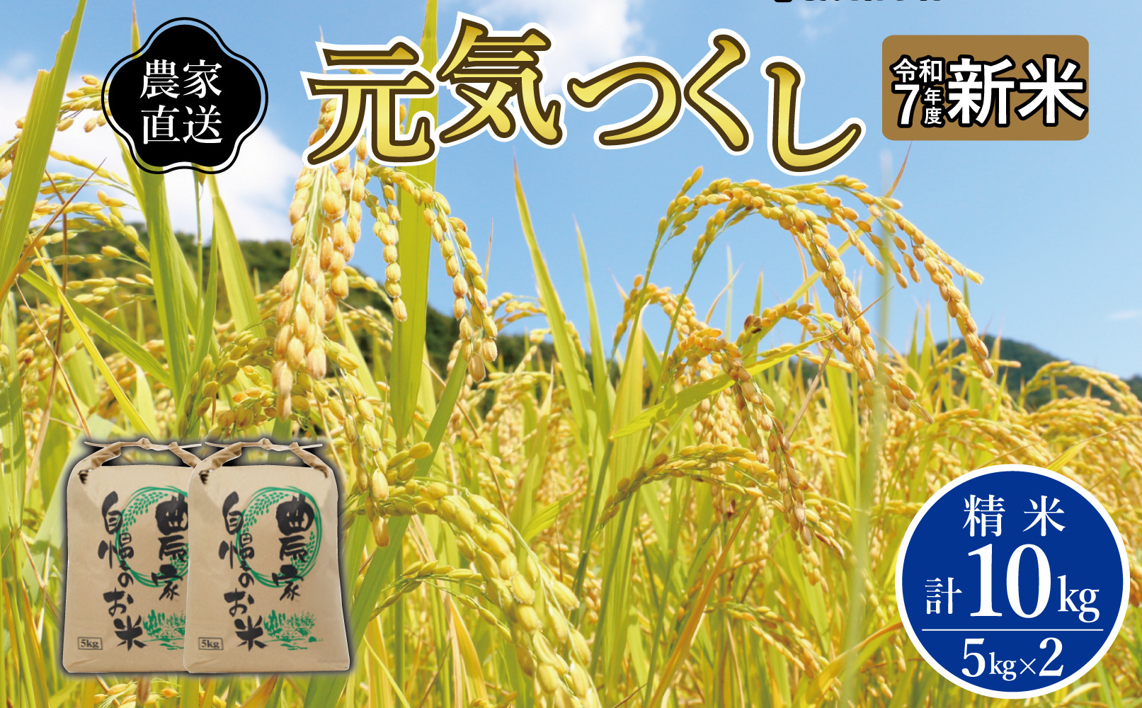 《令和7年産&nbsp;》福岡県大川市産&nbsp;ブランド&nbsp;米「&nbsp;元気つくし&nbsp;」&nbsp;5kg×2個　計10kg&nbsp;|&nbsp;お米&nbsp;米&nbsp;こめ&nbsp;精米&nbsp;白米&nbsp;ライス&nbsp;ブランド米&nbsp;ごはん&nbsp;ご飯