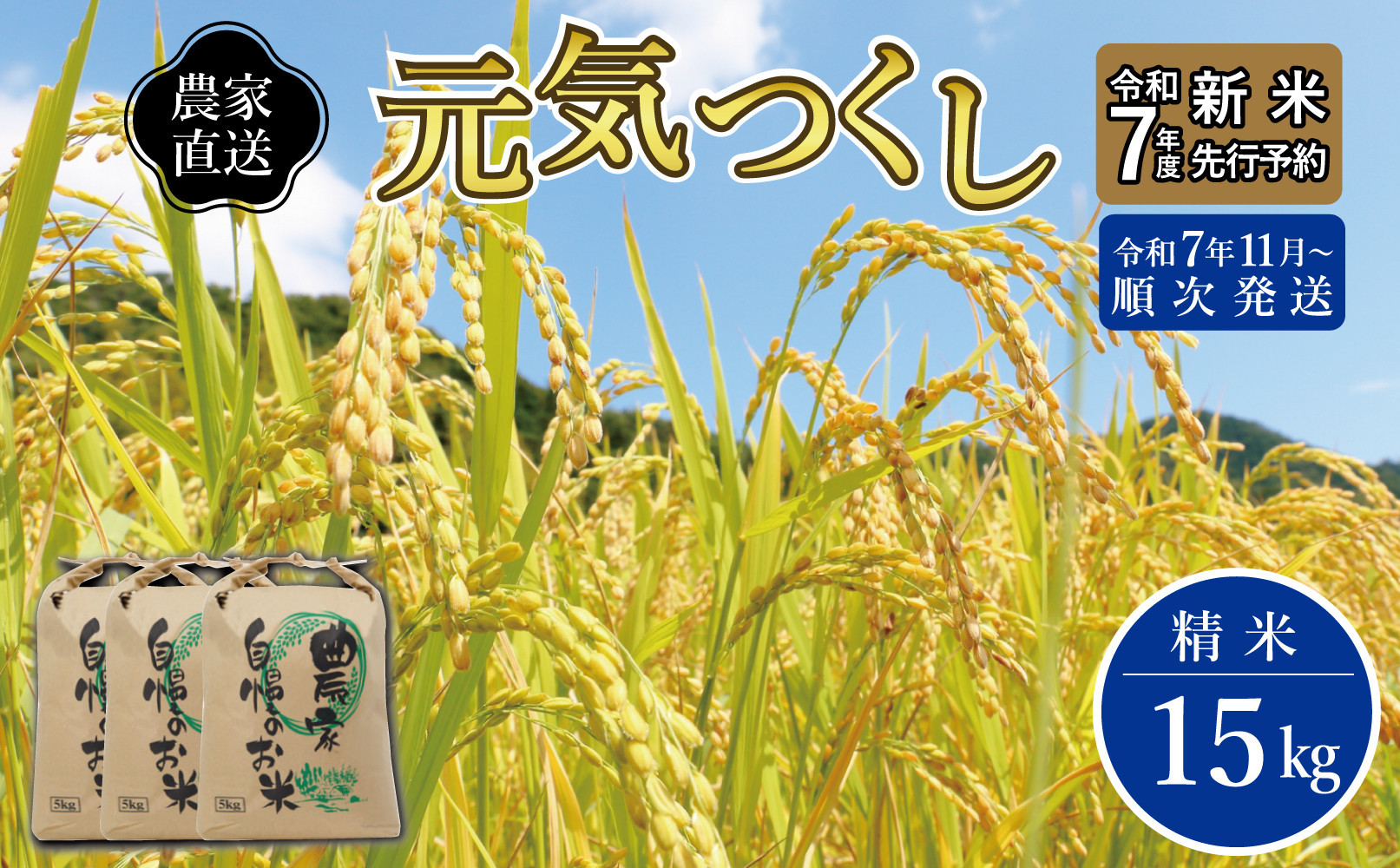 ＼令和7年産&nbsp;先行予約／&nbsp;【2025年11月より順次発送】《令和7年産&nbsp;》&nbsp;福岡県大川市産&nbsp;米&nbsp;「&nbsp;元気つくし&nbsp;」&nbsp;5kg×3個&nbsp;計15kg&nbsp;|&nbsp;お米&nbsp;米&nbsp;こめ&nbsp;精米&nbsp;白米&nbsp;ライス&nbsp;ブランド米&nbsp;ごはん&nbsp;ご飯