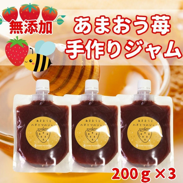 いちごジャム&nbsp;無添加&nbsp;あまおうとハチミツのジャム&nbsp;200g×3袋&nbsp;手作り&nbsp;国産&nbsp;チューブ&nbsp;パウチ入り