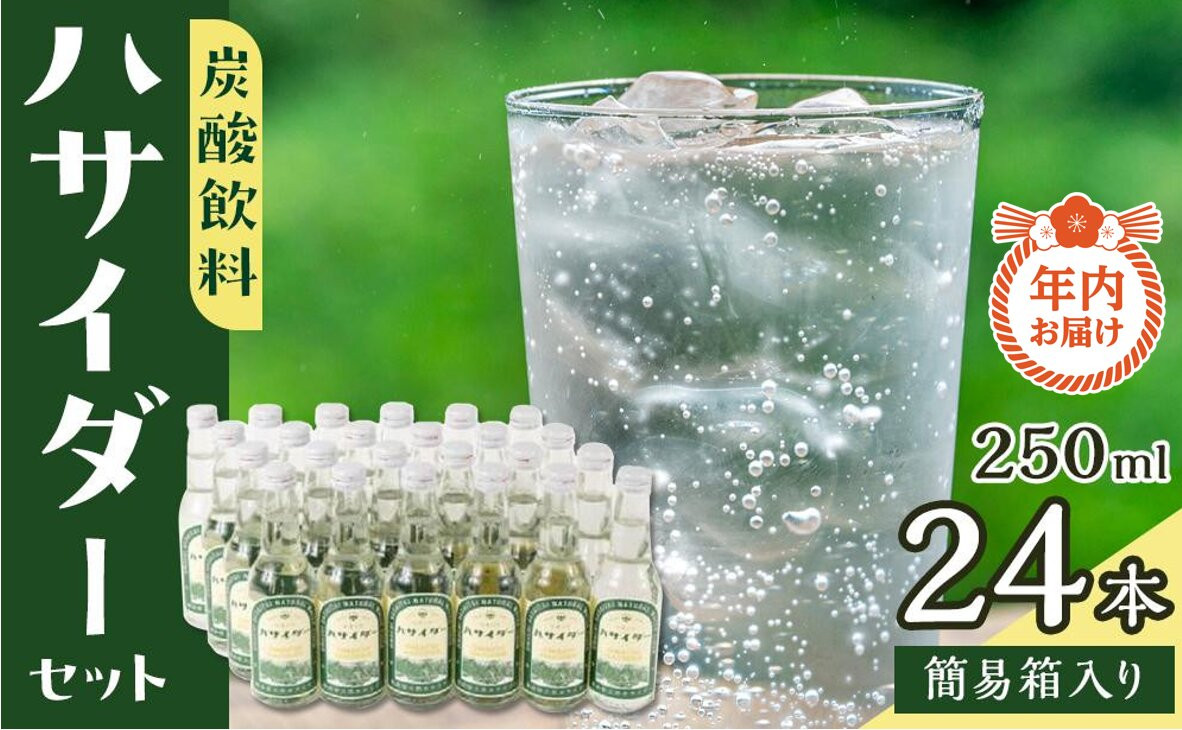 【年内発送】【12月21日ご入金確認分まで】 炭酸飲料 サイダー セット 24本 × 250ml ハサイダー｜黒部ダム 破砕帯 飲料 炭酸飲料 サイダー  人気 おすすめ 清涼飲料  ご当地 ドリンク ギフト プレゼント 送料無料 長野県 大町市 ふるさと納税