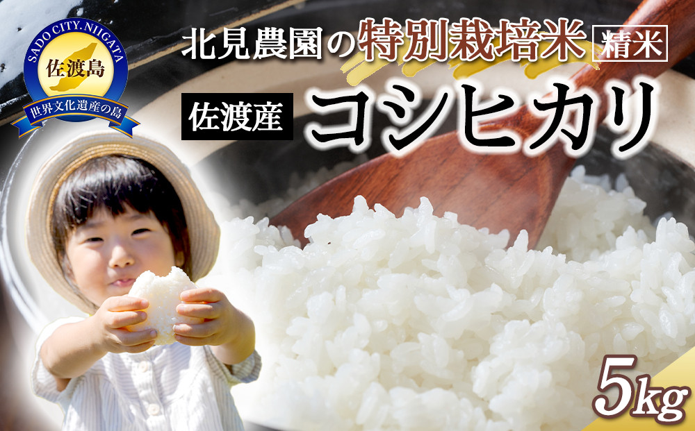 【令和7年産】北見農園の特別栽培米 令和7年佐渡産コシヒカリ 5kg 農家自慢の逸品 精米