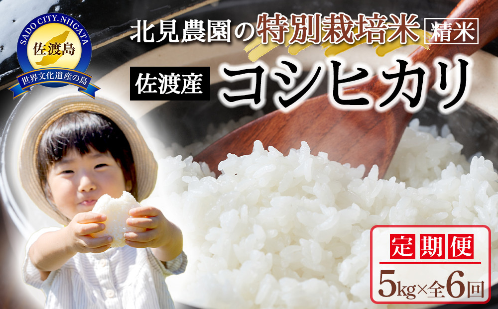 【令和7年産】＜米&nbsp;定期便&nbsp;全6回＞北見農園の特別栽培米&nbsp;佐渡産コシヒカリ（5kg×全6回）農家自慢の逸品&nbsp;精米