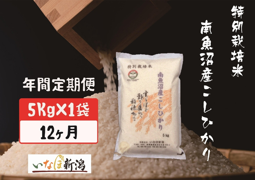【令和7年度産】【定期配送】南魚沼産コシヒカリ特別栽培米&nbsp;白米&nbsp;5kg&nbsp;全12回