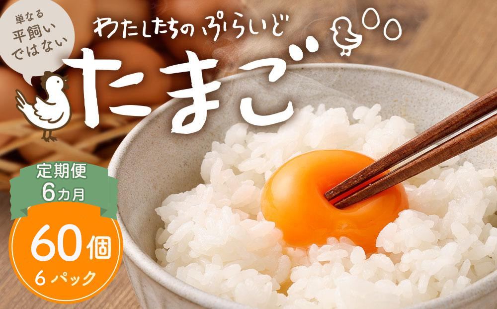 【定期便：6か月】【食べチョクアワード2025&nbsp;畜産部門&nbsp;1位の日本一のたまご】単なる平飼いではない究極の卵『わたしたちのぷらいどたまご』6パック（60個）セット