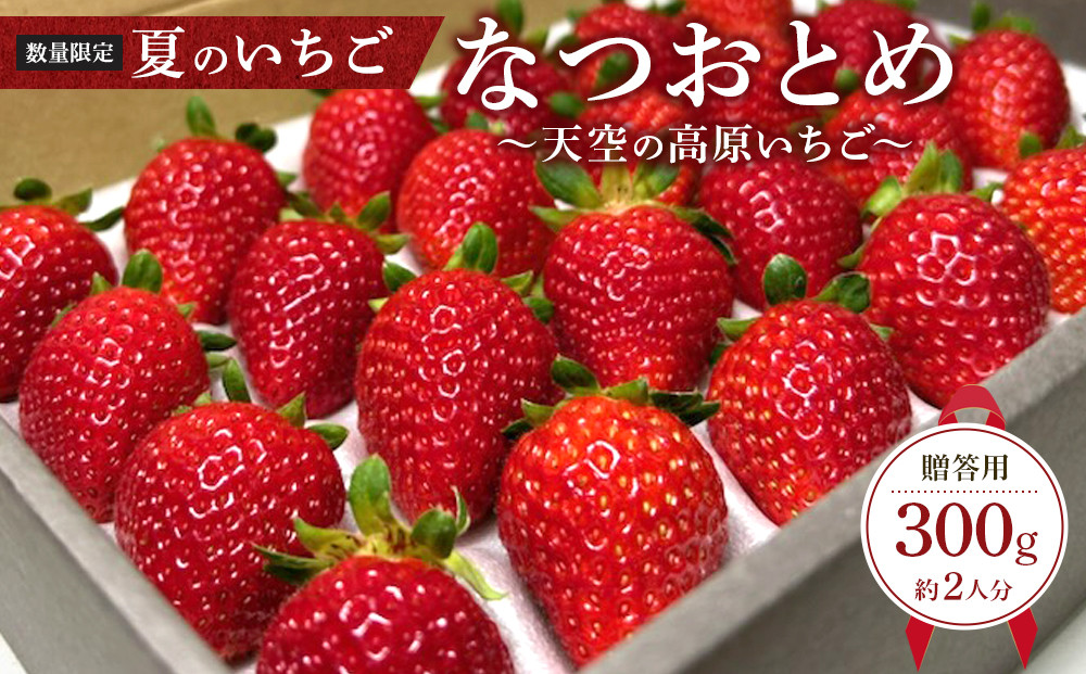 【限定販売】夏のいちご「なつおとめ」天空の高原 いちご プレミアムギフト 計300ｇ 贈答用 化粧箱入り 約2人分　期間限定 数量限定 いちご イチゴ 苺 フルーツ 果物 スイーツ 産地直送  日光市 栃木県