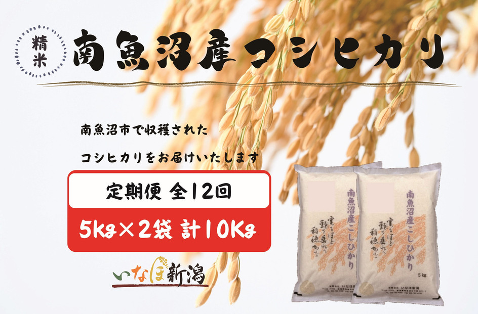 【令和7年産】【定期配送】南魚沼産コシヒカリ&nbsp;白米&nbsp;5kg×2袋(10kg)&nbsp;全12回