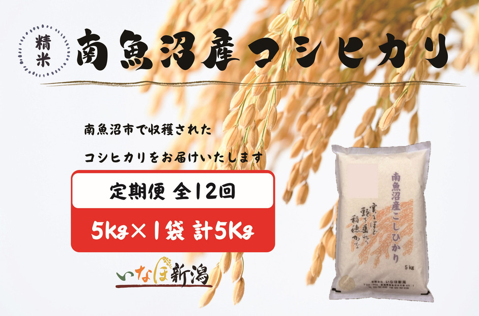 【令和7年産】【定期配送】南魚沼産コシヒカリ&nbsp;白米&nbsp;5kg&nbsp;全12回