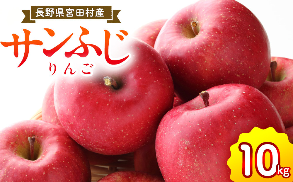 サンふじリンゴ（１０ｋｇ）（予約制）（りんご 林檎 フルーツ ビタミン 果物 くだもの 食品  上伊那 宮田村 長野 信州 甘い 新鮮 人気 ギフト 贈答 お祝い プレゼント 贈り物  特産品）