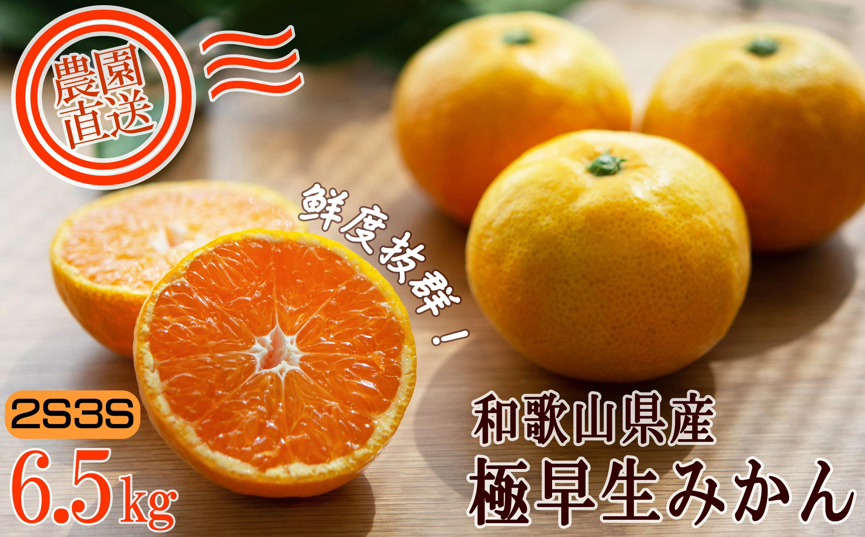 小粒みかん&nbsp;約6.5kg&nbsp;2S3Sサイズ&nbsp;訳あり&nbsp;和歌山県産&nbsp;農園直送&nbsp;まごころ産直みかん&nbsp;【10月～11月頃発送】&nbsp;【北海道・沖縄県・一部離島&nbsp;配送不可】下津&nbsp;極早生みかん［Mg40］