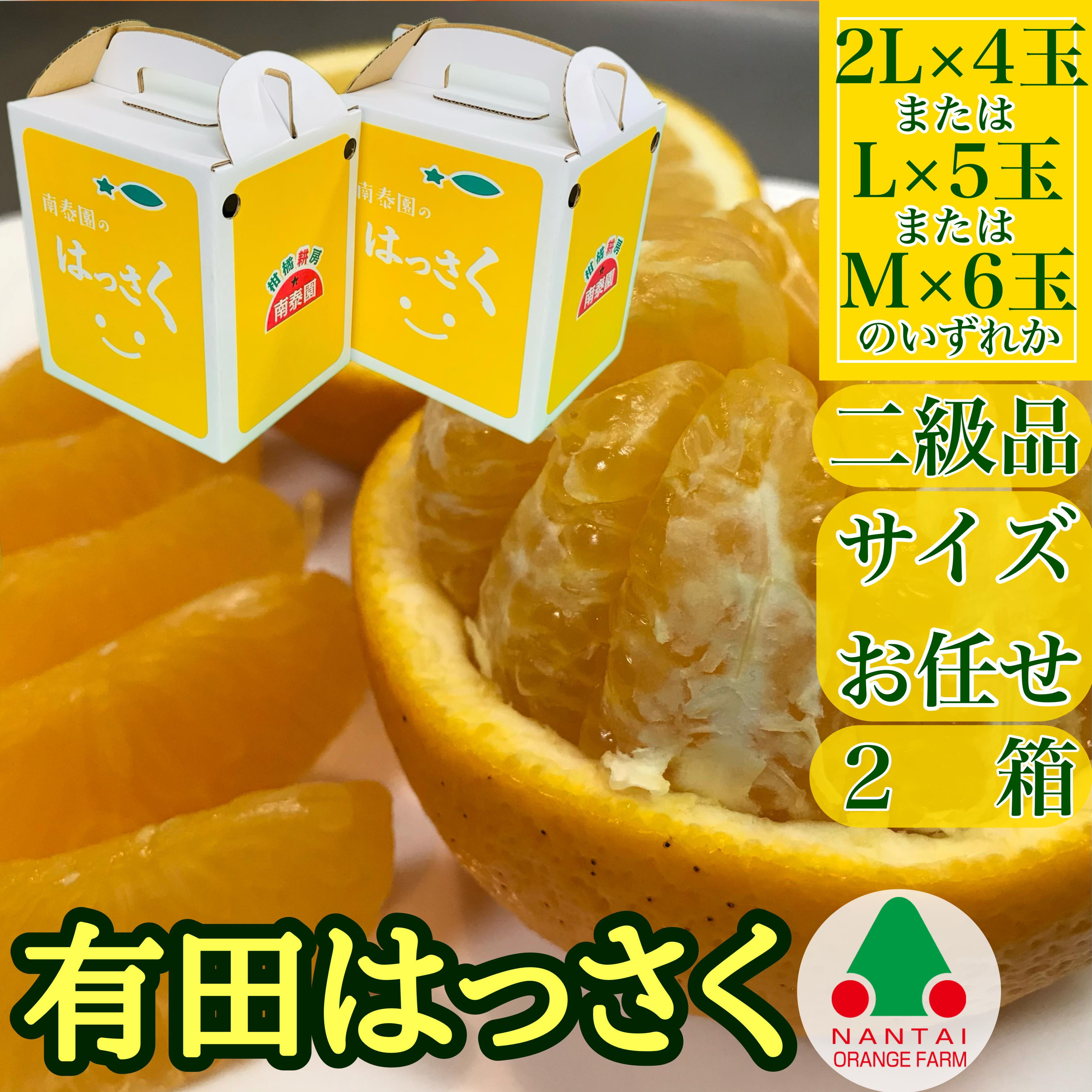 2箱セット&nbsp;ちょっと&nbsp;傷あり&nbsp;手さげ箱&nbsp;有田&nbsp;はっさく&nbsp;2L&nbsp;~&nbsp;M&nbsp;4~6玉入&nbsp;南泰園&nbsp;みかん