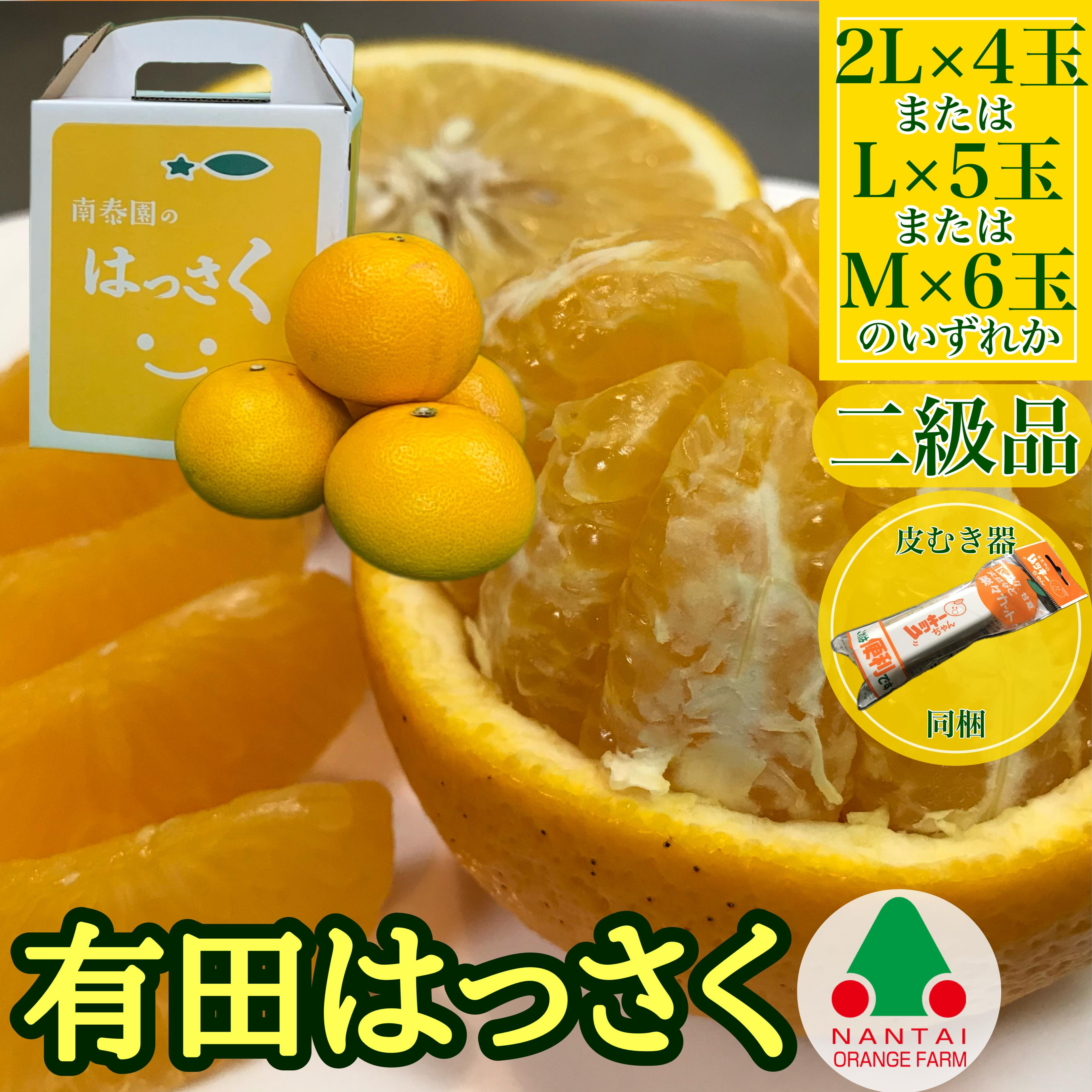 ちょっと&nbsp;傷あり&nbsp;手さげ箱&nbsp;有田&nbsp;はっさく&nbsp;2L&nbsp;~&nbsp;M&nbsp;4~6玉入&nbsp;ムッキー&nbsp;同梱&nbsp;南泰園&nbsp;みかん