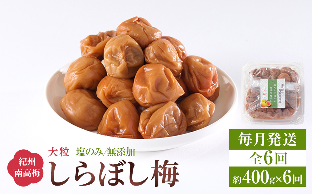 梅干し&nbsp;しらぼし梅&nbsp;約400g&nbsp;塩のみ&nbsp;無添加&nbsp;大粒&nbsp;紀州南高梅&nbsp;塩分約15％&nbsp;和歌山県産&nbsp;[&nbsp;定期便&nbsp;毎月発送・全6回&nbsp;]