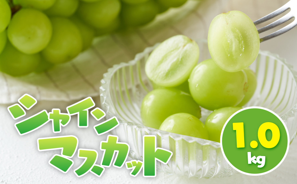 シャインマスカット 1.0kg