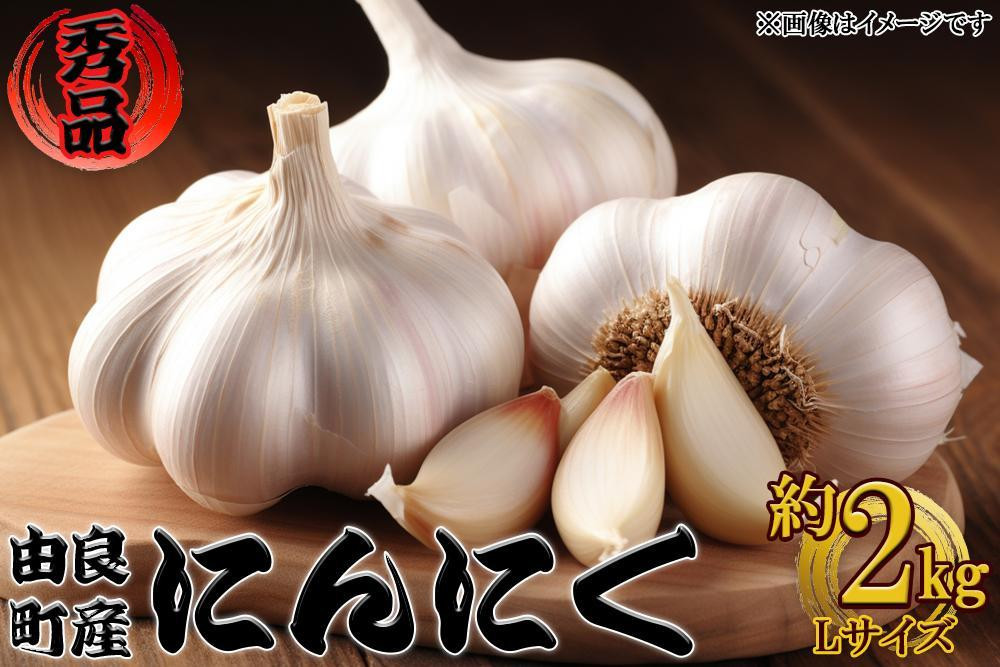 由良町産にんにく&nbsp;秀品&nbsp;&nbsp;Ｌサイズ&nbsp;&nbsp;約2kg(1kg×2)【SL19】