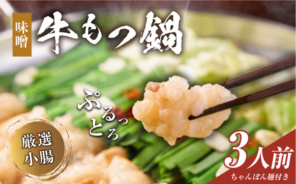 もつ鍋（味噌）3人前セット