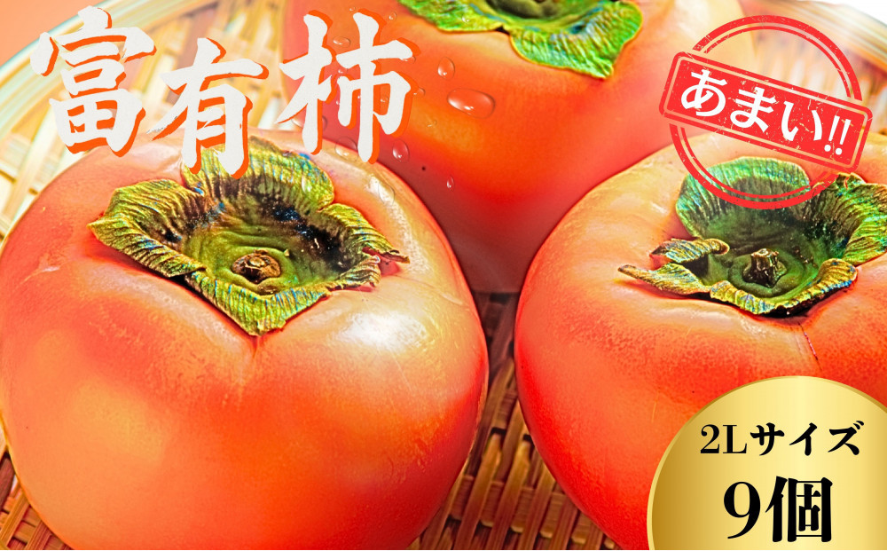 【先行予約】Farm m&aの富有柿 2L×9個 秀品 岐阜県 大野町（2025年11月下旬～発送）農家直送 果物 フルーツ 秋の味覚 柿 かき 富有 ふゆう