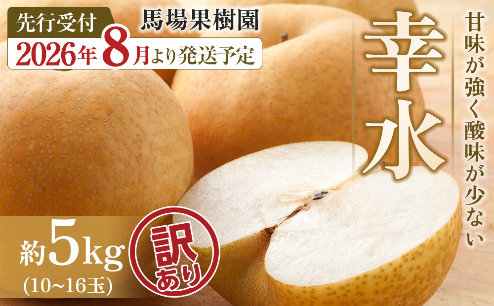 【2026年先行予約／訳あり】【馬場果樹園】梨「幸水」約5kg（10～16玉入）8月中旬～順次発送