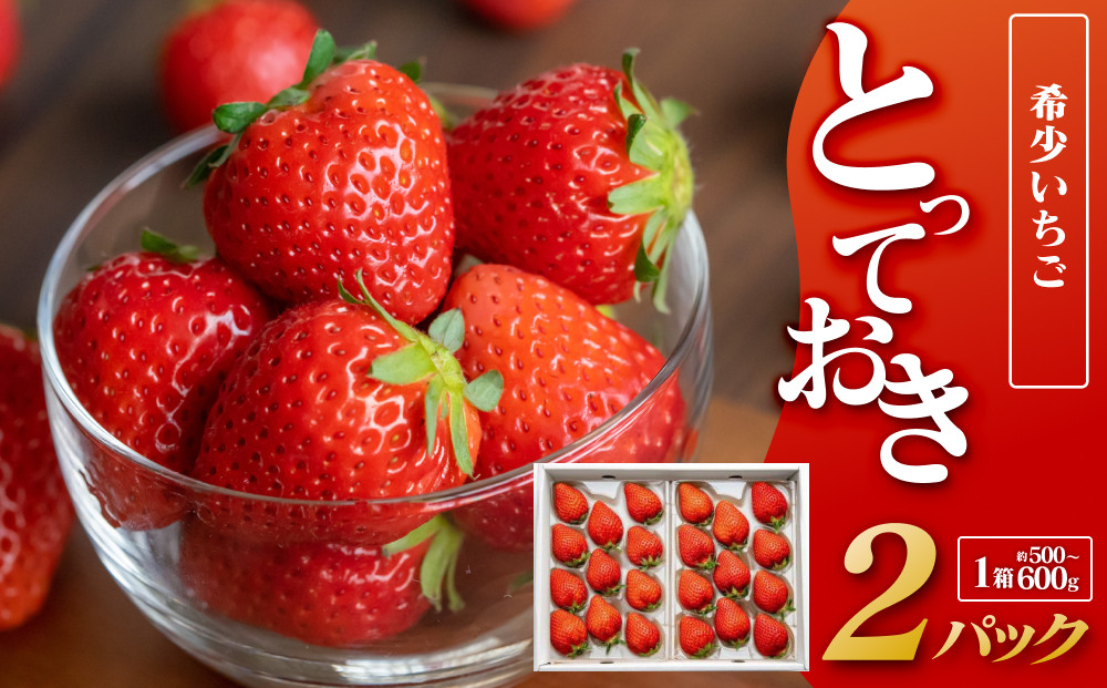 330.希少いちご『とっておき』※2026年1月中旬頃～2026年3月下旬頃に順次発送予定｜ いちご 苺 フルーツ 果物 新鮮 甘い おすすめ 人気 プレミアム 鳥取県 北栄町