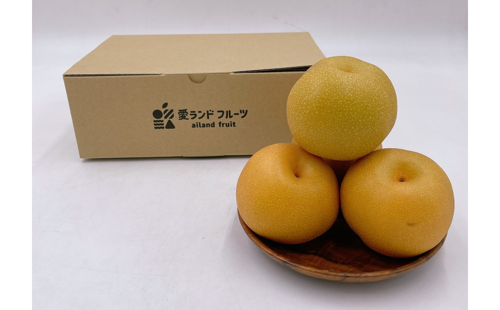 内子町産　豊水梨【5～6玉】★2025年8月下旬から発送★【北海道・沖縄配送不可】