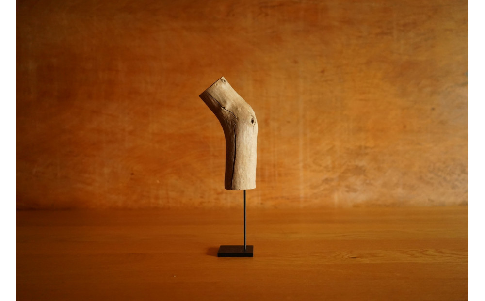 【相良パーティ】屋久島の流木【小サイズ】