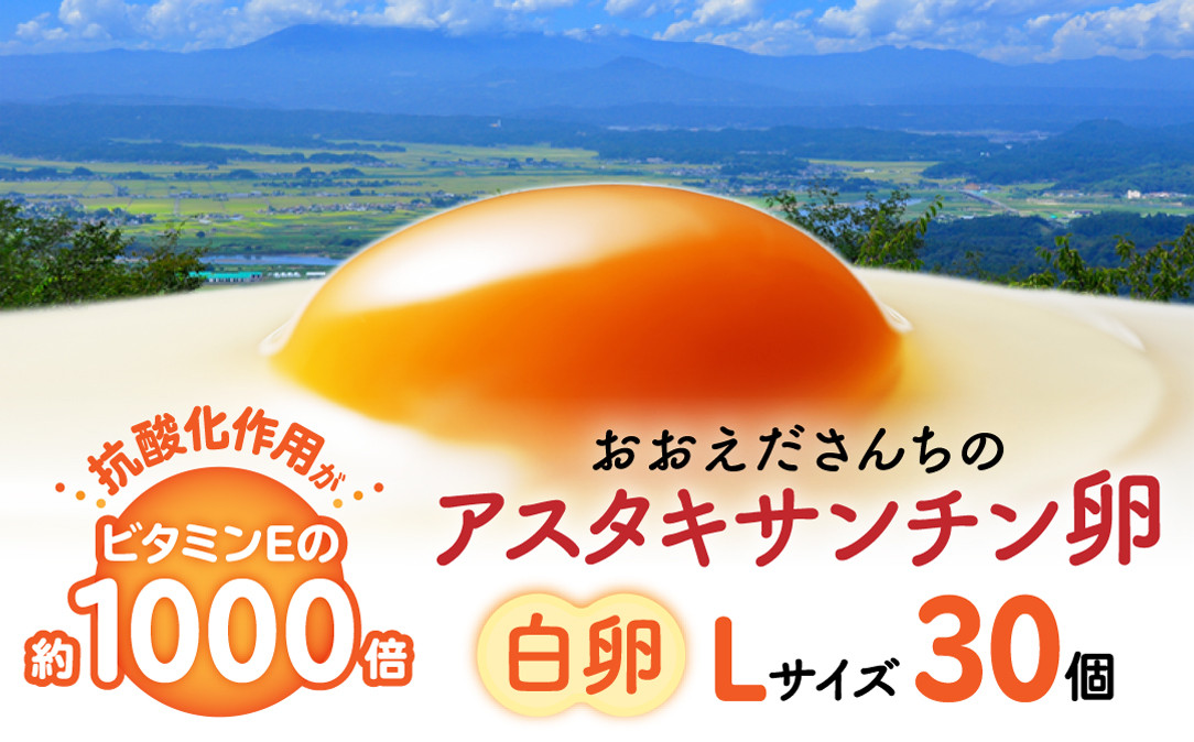 たまご&nbsp;生卵&nbsp;おおえだファーム&nbsp;御皇卵&nbsp;アスタキサンチン卵&nbsp;（白卵）Lサイズ&nbsp;30個入り｜アスタキサンチン卵&nbsp;30個&nbsp;美肌&nbsp;抗酸化&nbsp;宮城県角田市育ち&nbsp;生卵&nbsp;たまご&nbsp;たまごかけ&nbsp;TKG