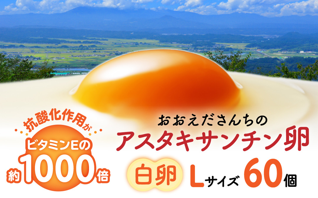 おおえだファーム&nbsp;アスタキサンチン卵（白卵）Lサイズ&nbsp;60個入り