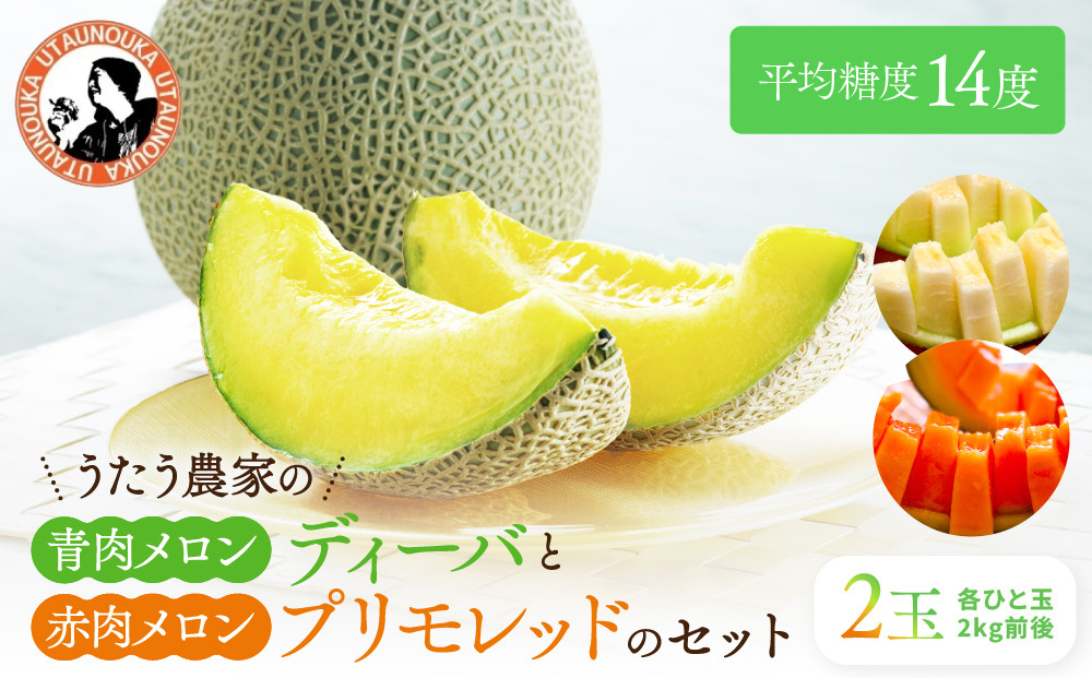 【先行予約】956.【ふるさと納税】青肉メロンディーバと赤肉メロンプリモレッドのセット&nbsp;※日本全国配送可能&nbsp;&nbsp;2026年10月上旬頃～11月上旬頃に順次発送予定【先行予約&nbsp;メロン&nbsp;果物&nbsp;くだもの&nbsp;フルーツ&nbsp;旬&nbsp;甘い&nbsp;鳥取県&nbsp;鳥取&nbsp;北栄町&nbsp;おすすめ&nbsp;人気】