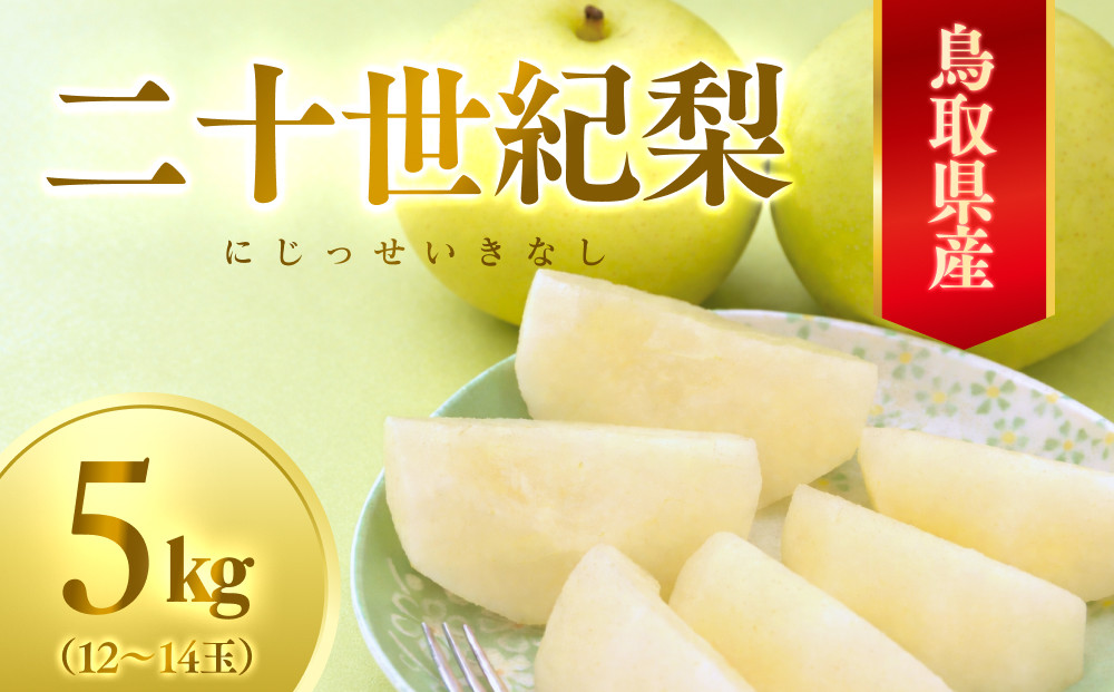 数量限定&nbsp;鳥取県産梨&nbsp;二十世紀梨&nbsp;5kg（12～14玉）｜鳥取&nbsp;梨&nbsp;なし&nbsp;二十世紀梨&nbsp;期間限定&nbsp;送料無料&nbsp;鳥取県&nbsp;三朝町