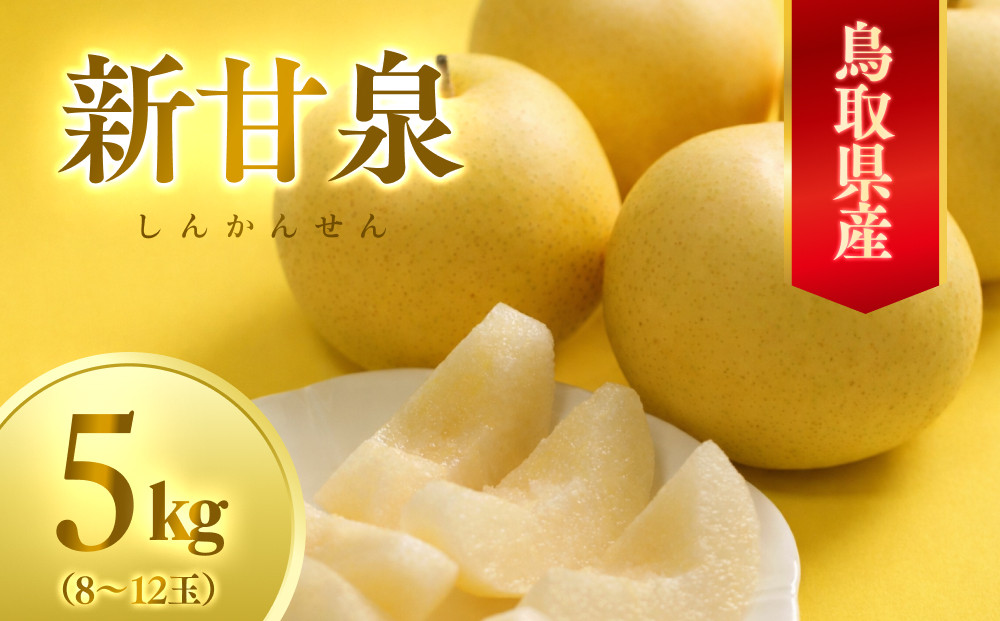 数量限定&nbsp;鳥取県産梨&nbsp;新甘泉（しんかんせん）5kg（8～12玉）｜鳥取&nbsp;梨&nbsp;なし&nbsp;新甘泉&nbsp;しんかんせん&nbsp;期間限定&nbsp;送料無料&nbsp;鳥取県&nbsp;三朝町