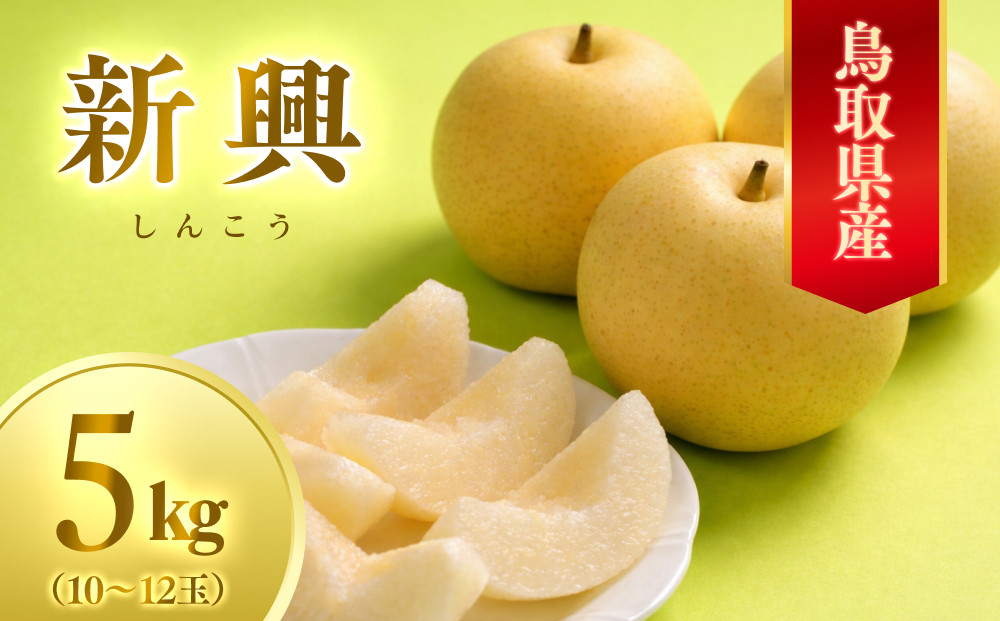 【先行予約】数量限定&nbsp;鳥取県産梨&nbsp;新興（しんこう）&nbsp;5kg（10～12玉）｜鳥取&nbsp;梨&nbsp;なし&nbsp;新興&nbsp;しんこう&nbsp;期間限定&nbsp;送料無料&nbsp;鳥取県&nbsp;三朝町