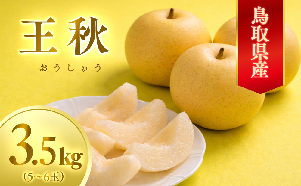数量限定&nbsp;鳥取県産梨&nbsp;王秋（おうしゅう）&nbsp;3.5kg（5～6玉）｜鳥取&nbsp;梨&nbsp;なし&nbsp;王秋&nbsp;おうしゅう&nbsp;期間限定&nbsp;送料無料&nbsp;鳥取県&nbsp;三朝町