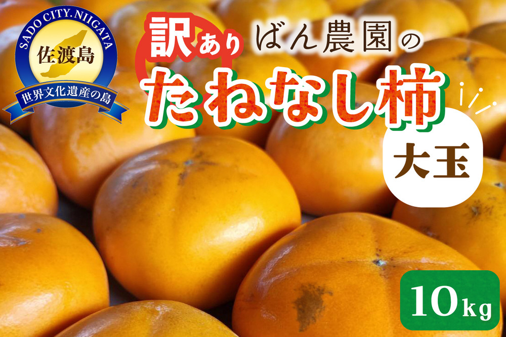 【2026年10月以降発送】訳あり大玉たねなし柿10kg（箱込み重量）佐渡島産