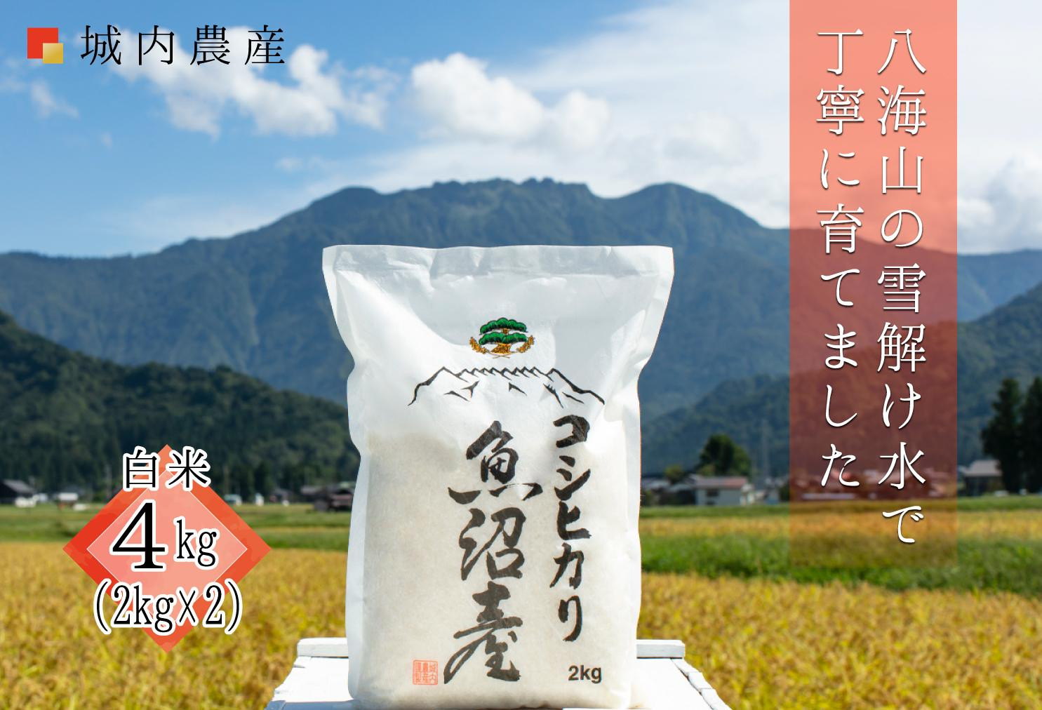 【令和７年産】南魚沼産コシヒカリ　白米４kg（２ｋｇ×２）【５割減農薬栽培米】城内農産