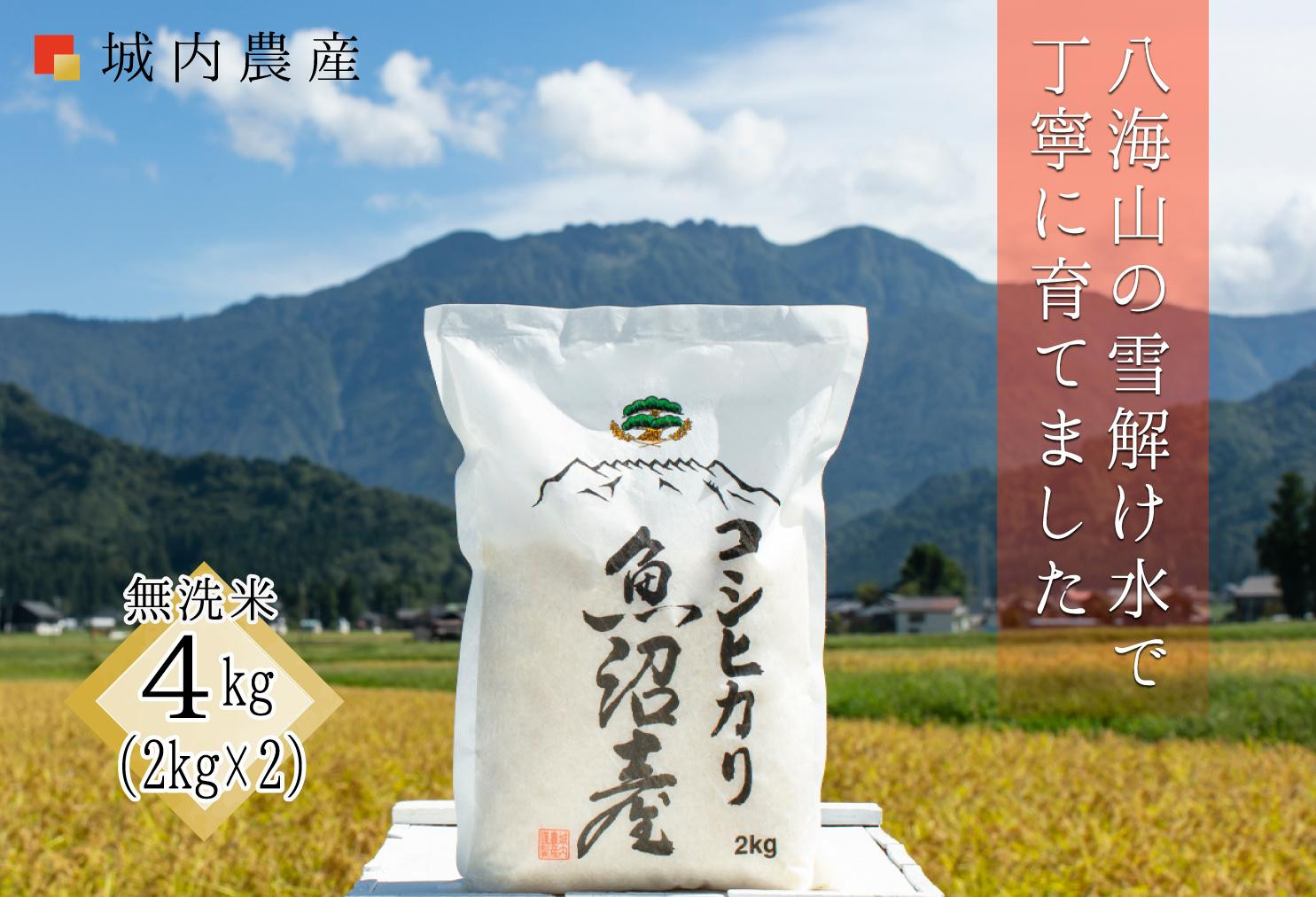【令和７年産】南魚沼産コシヒカリ&nbsp;無洗米４kg（２ｋｇ×２）【５割減農薬栽培米】城内農産