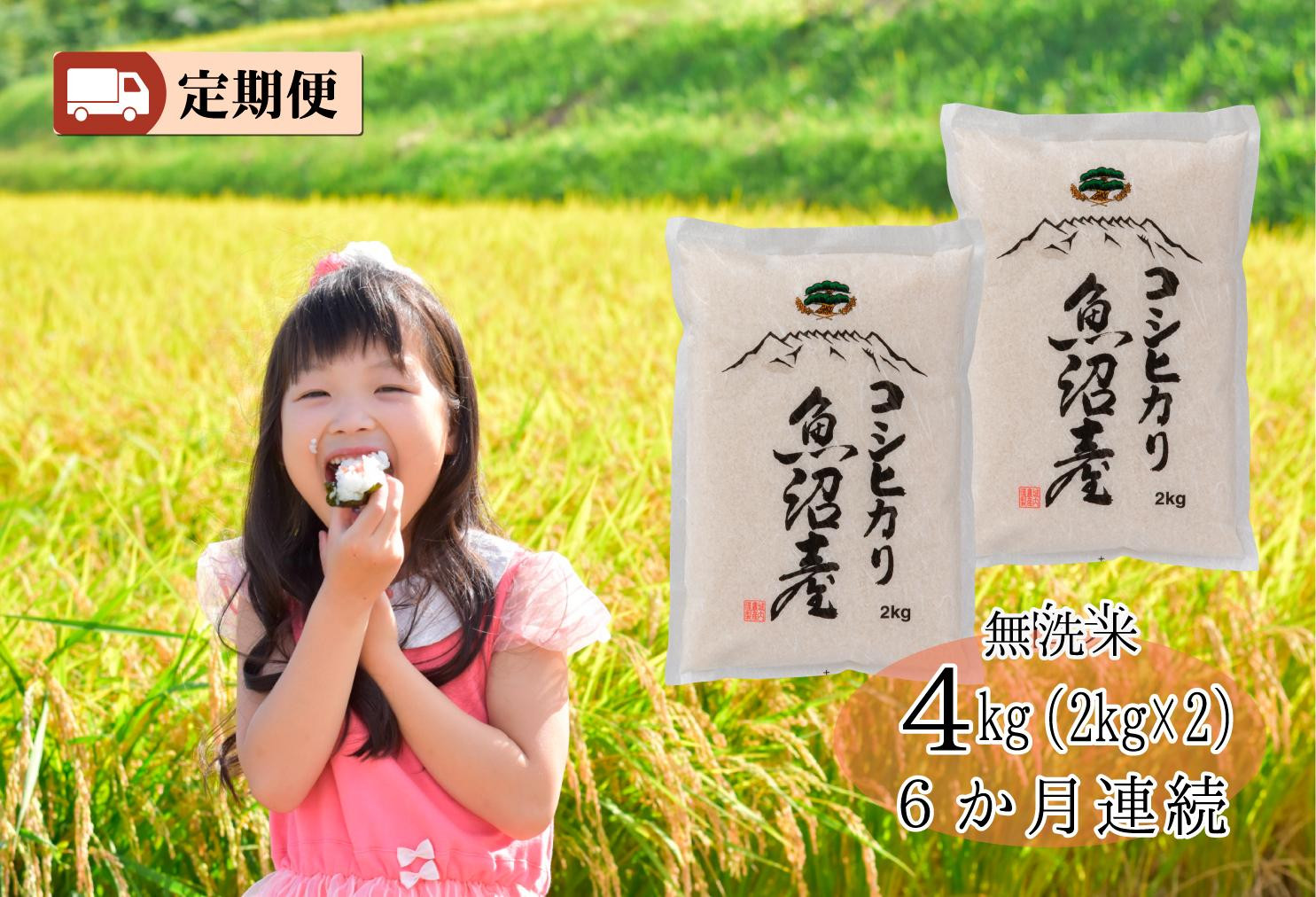 【令和７年産】【お米定期便/全６回】南魚沼産コシヒカリ　無洗米４kg（２ｋｇ×２）＜5割減農薬栽培米＞