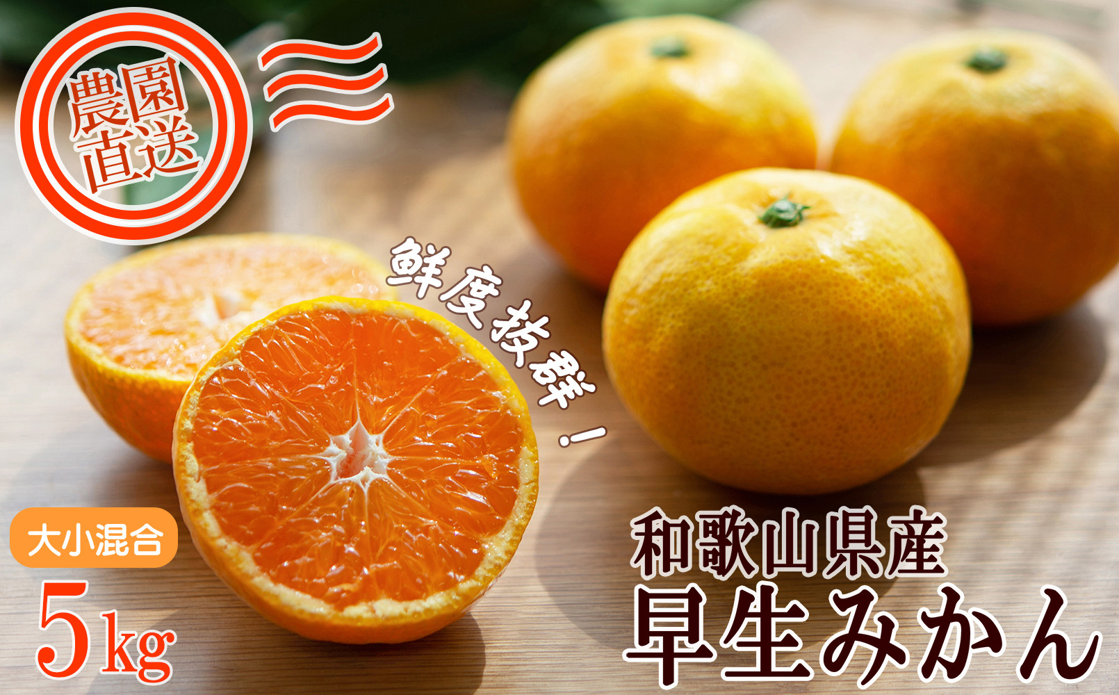 みかん 訳あり 早生みかん 5kg 大小混合 まごころ産直みかん 【11月より順次配送】温州みかん 和歌山みかん 下津みかん しもつみかん ミカン 蜜柑 和歌山ミカン 和歌山蜜柑 mikan 訳アリ 訳あり 訳あり品 和歌山県産 産地直送［Mg14］