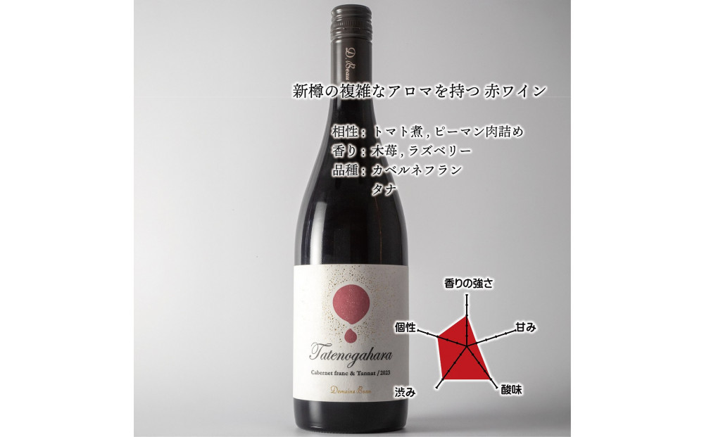 立野原 カベルネフラン&タナ2023 ワイナリー風景ポチ袋5枚セット付き