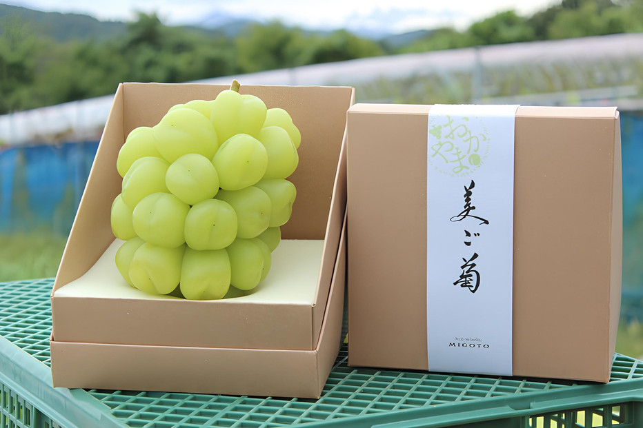 【2026年発送】びっくりサイズの大粒ぶどう&nbsp;岡山県産&nbsp;雄宝&nbsp;１房(約1.0kg)