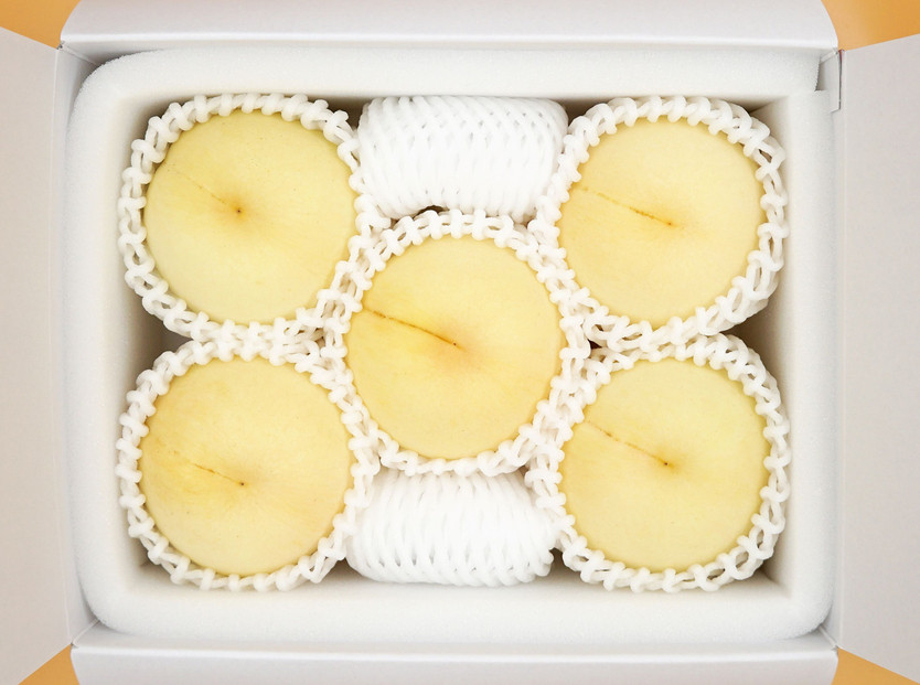 〈おかやまの白桃をご家庭でも♪〉品種はおまかせ！岡山の白桃&nbsp;1.3kg&nbsp;晩生種&nbsp;４～６玉